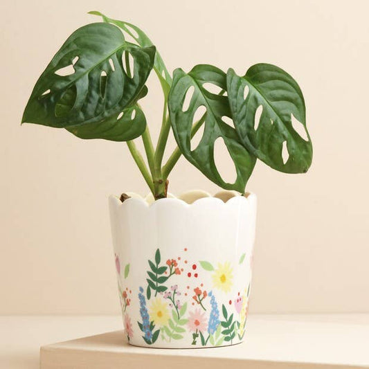 Lisa Angel Floral Scallopped Planter 1