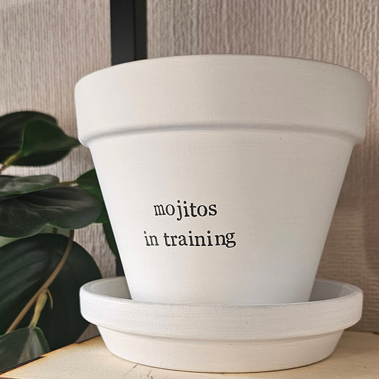 White painted terracotta pot with the text 'mojitos in training' on it, with matching saucer
