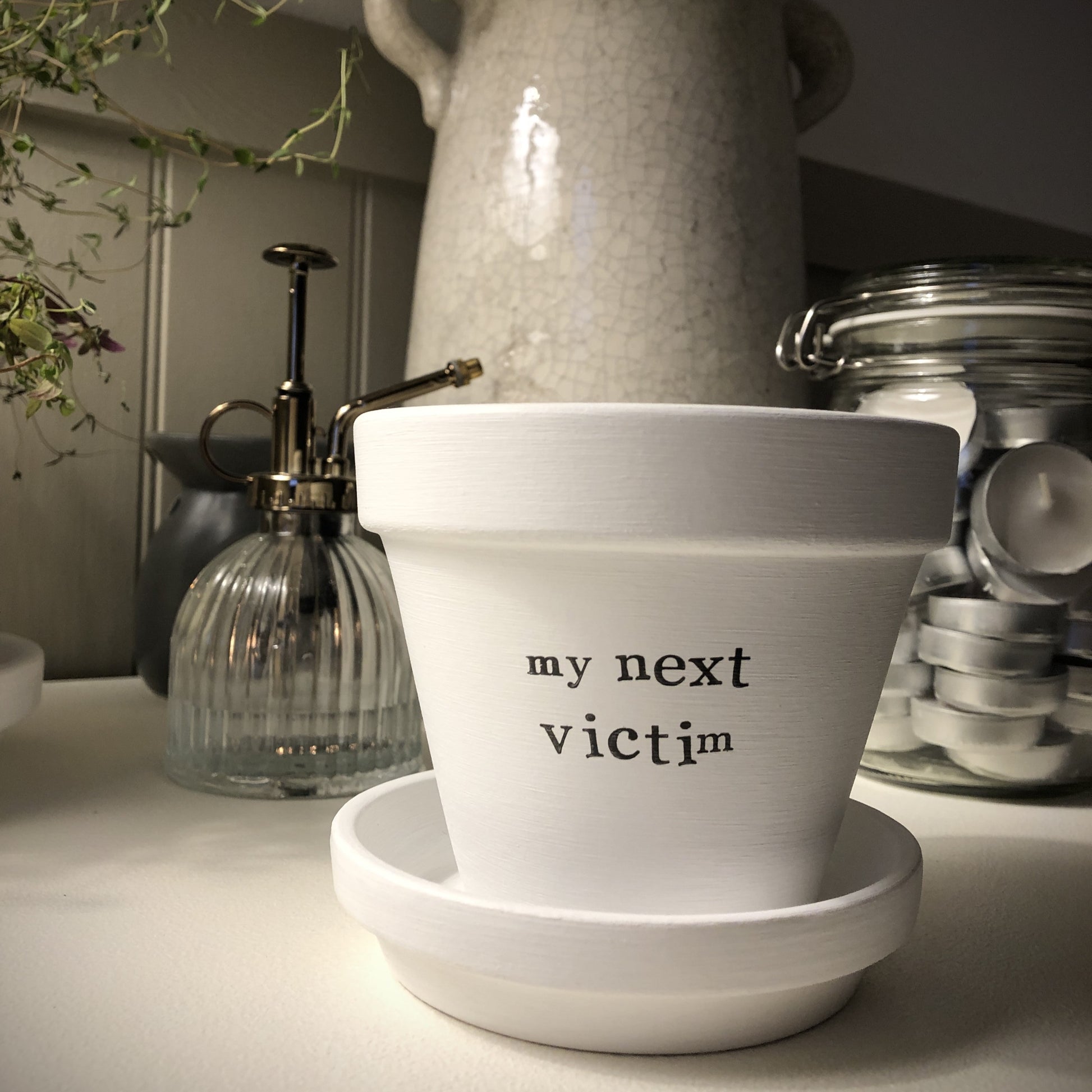 White painted terracotta pot with the text 'my next victim' on it, with matching saucer