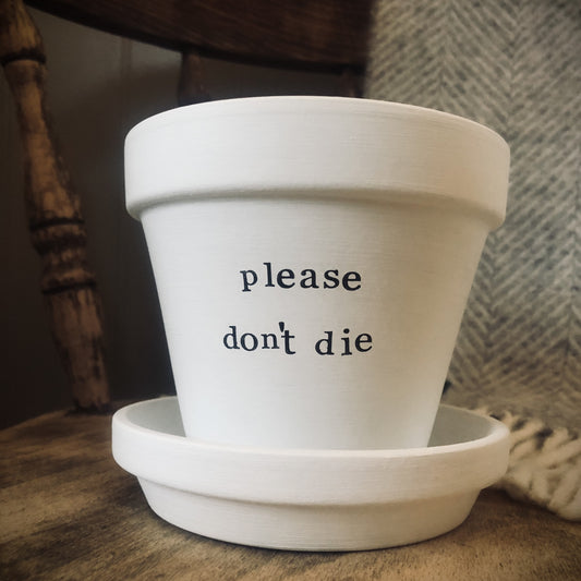 White painted terracotta pot with the text 'please don't die' on it, with matching saucer