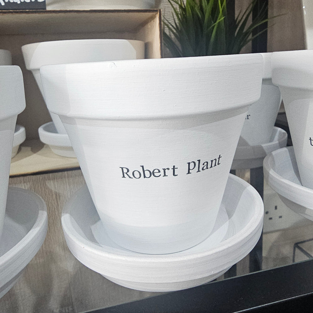 ROBERT PLANT