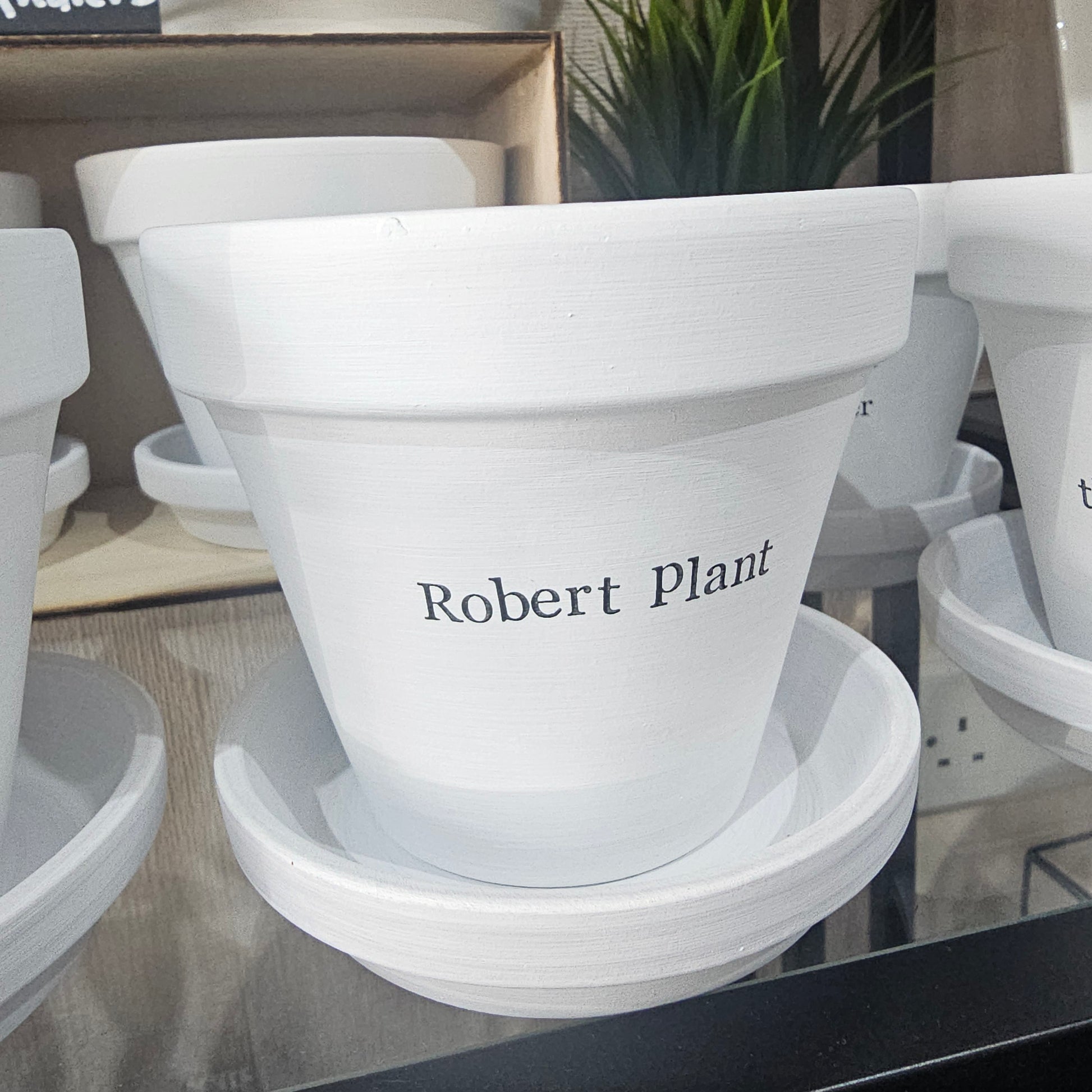 White painted terracotta pot with 'Robert Plant' text detail by Mason and James