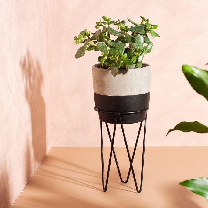 BLACK DIP PLANTER WITH WIRE STAND