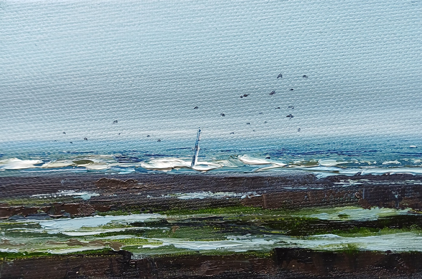 Take Off Carnoustie Beach oil painting birds taking off from rocks by Paula Deas