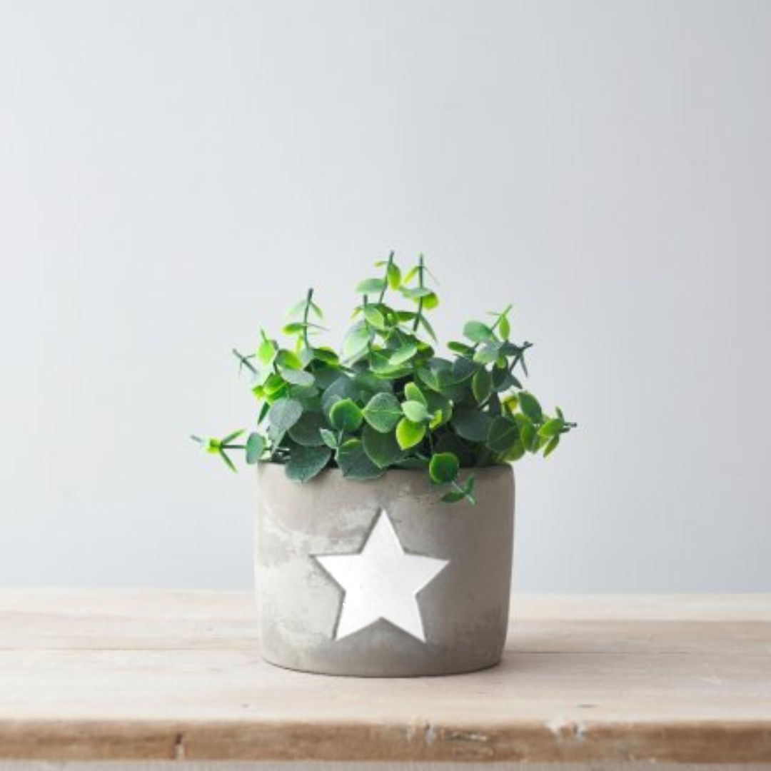 WHITE STAR CEMENT PLANTER