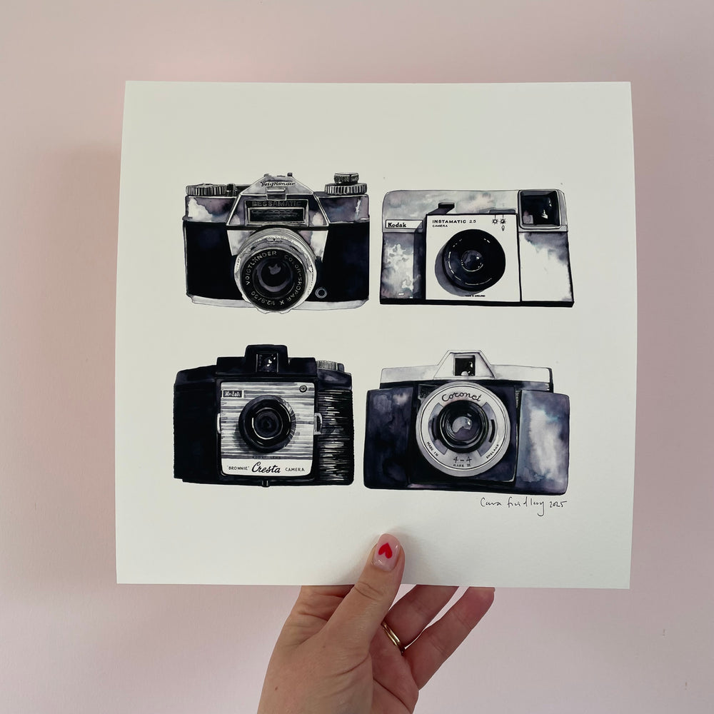 VINTAGE CAMERAS PRINT
