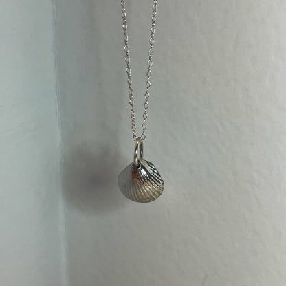 Pewter shell necklace handmade in Scotland cast from real shells jewellery