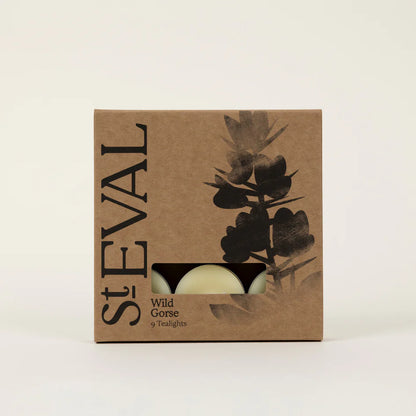 St. Eval Wild Gorse tealights packaging on a white background