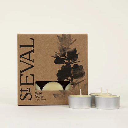 St Eval Wild Gorse tealights with packaging on a white background