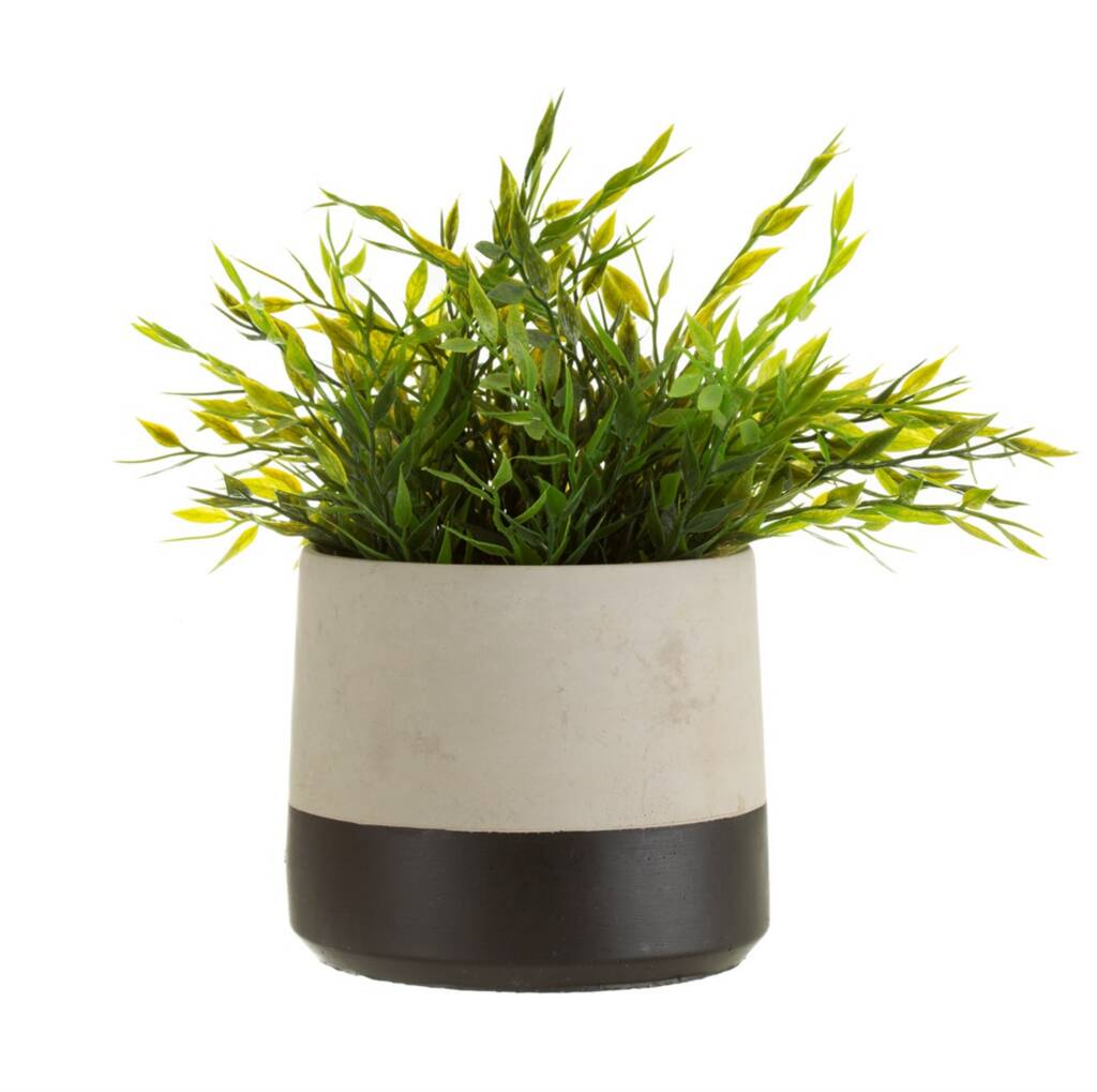 BLACK DIP CEMENT PLANTER