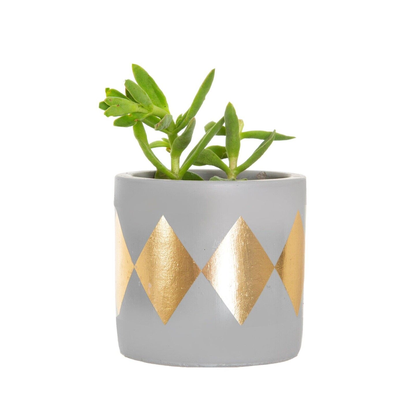 MINI DINA GOLD DIP CEMENT PLANTER
